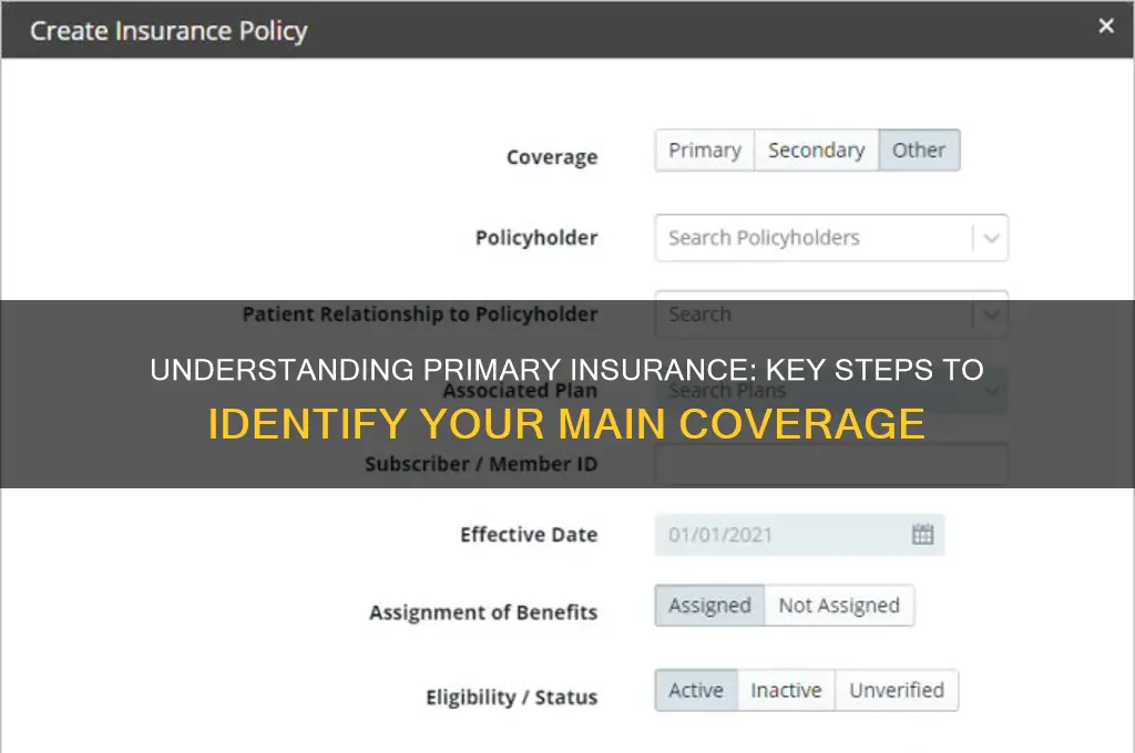 how to identify primary insurance