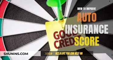 Boost Your Auto Insurance Score