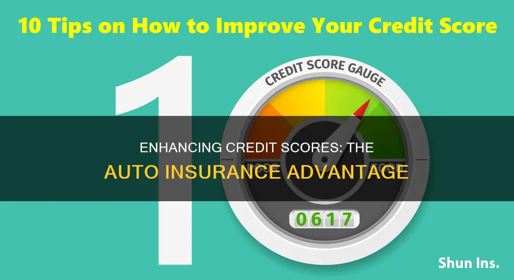 how to improve credit score by auto insurance