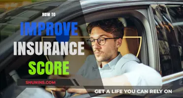 Boost Your Insurance Score: Proven Strategies for Lower Premiums