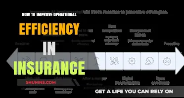 Boosting Insurance Operations: Strategies for Enhanced Efficiency and Productivity