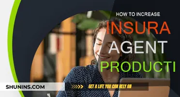Enhancing Insurance Agent Productivity: Strategies for Success