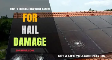 Maximize Your Hail Damage Insurance Claim: Expert Tips for Higher Payouts