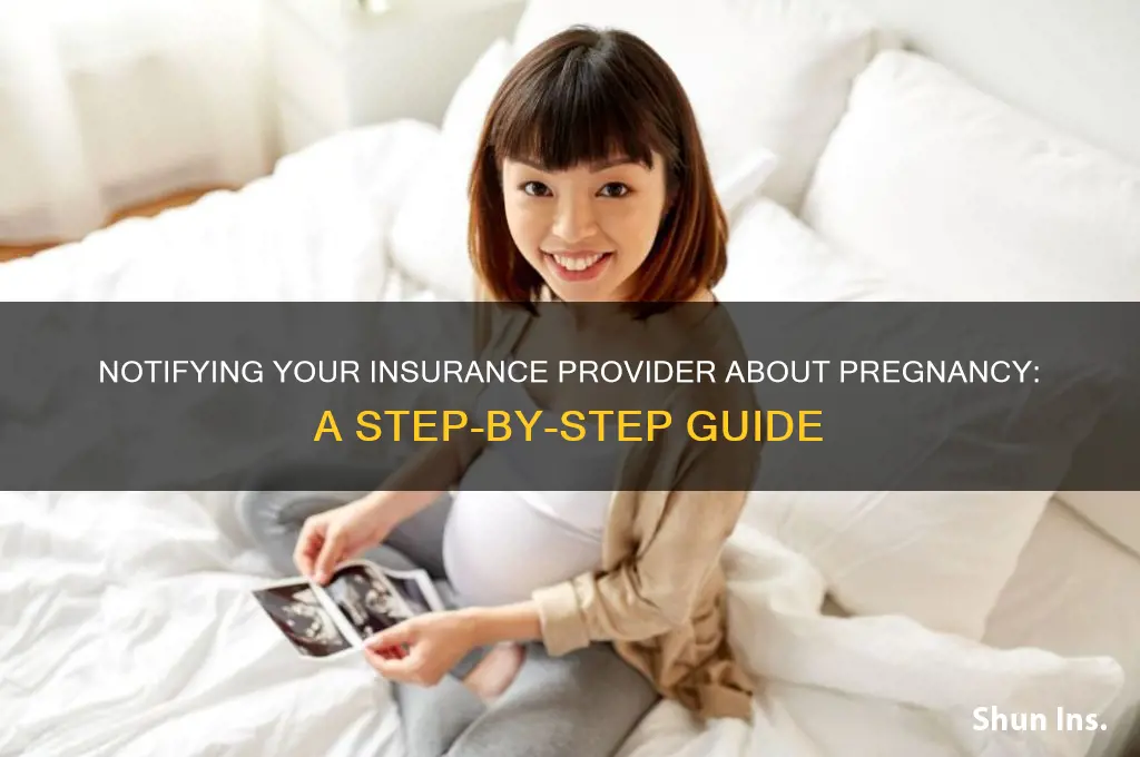how to inform insurance of pregnancy