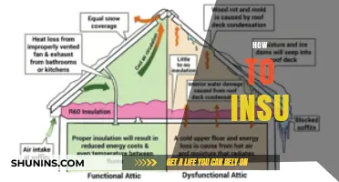 Mastering Insulation: A Comprehensive Guide to Energy-Efficient Homes
