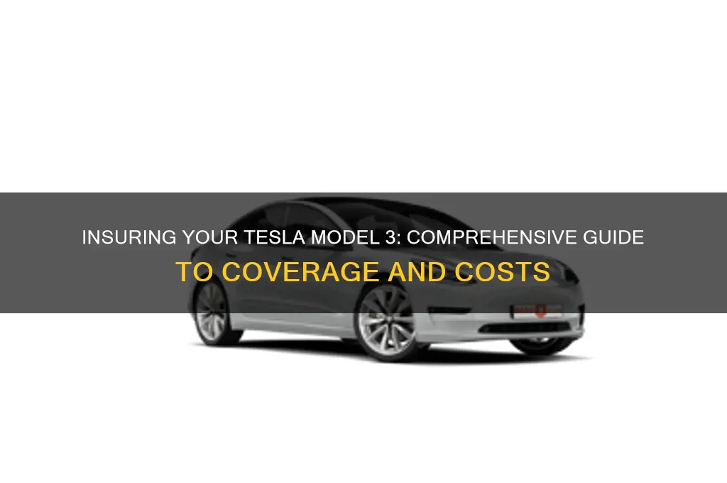 how to insurance a tesla model 3