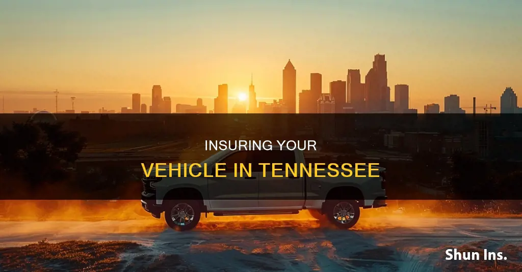 how to insurance a vehicle in tn