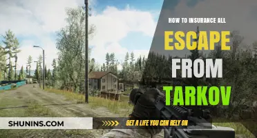Mastering Escape from Tarkov: Comprehensive Insurance Strategies for Survival