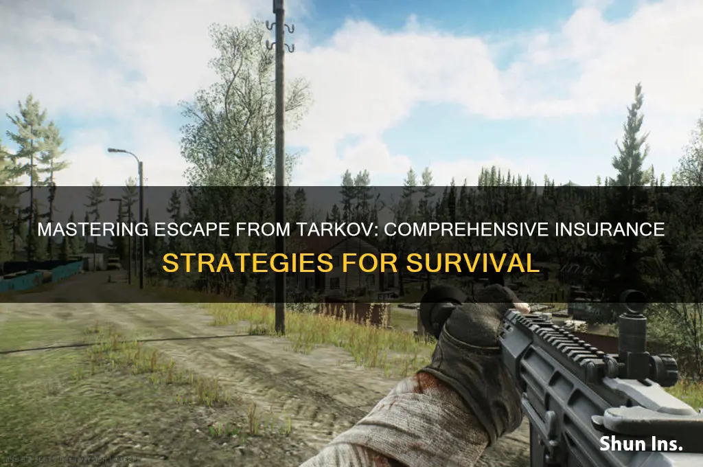 how to insurance all escape from tarkov