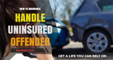 Handling Uninsured Offenders: A Guide for Insurance Claims and Protection