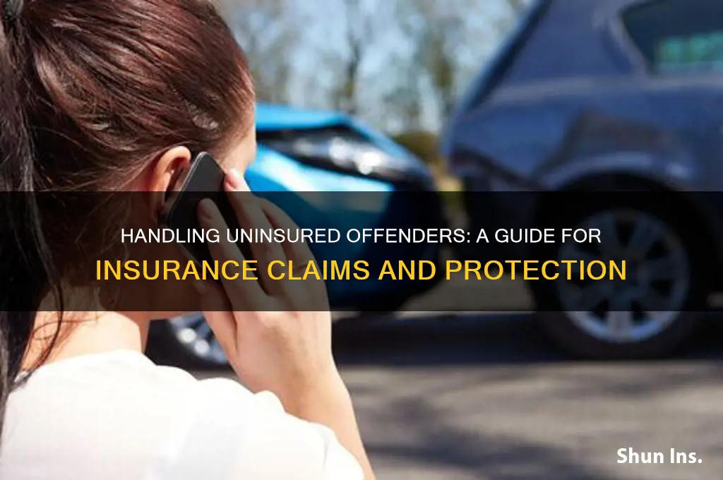 how to insurance handle uninsured offender