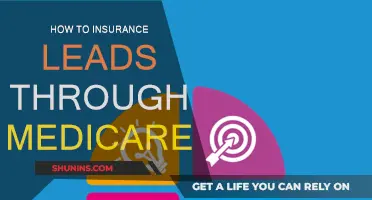 Maximizing Insurance Leads Through Medicare