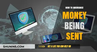 Insure Your Money Transfers: A Guide