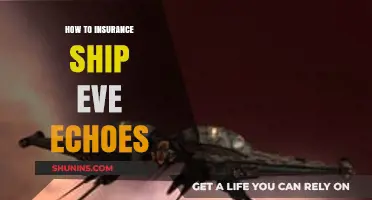 Safeguarding Your Eve Echoes Ship: Essential Insurance Strategies for Pilots