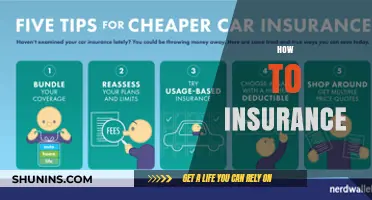 Mastering Insurance Basics: A Step-by-Step Guide to Smart Coverage