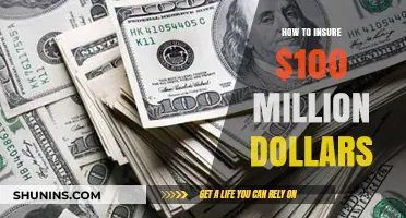 Securing Your Fortune: Insuring $100 Million Dollars Effectively