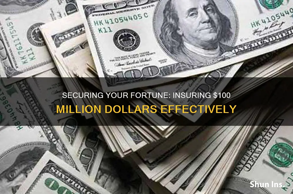 how to insure $100 million dollars