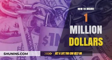 Securing Your Wealth: A Guide to Insuring $1 Million Dollars