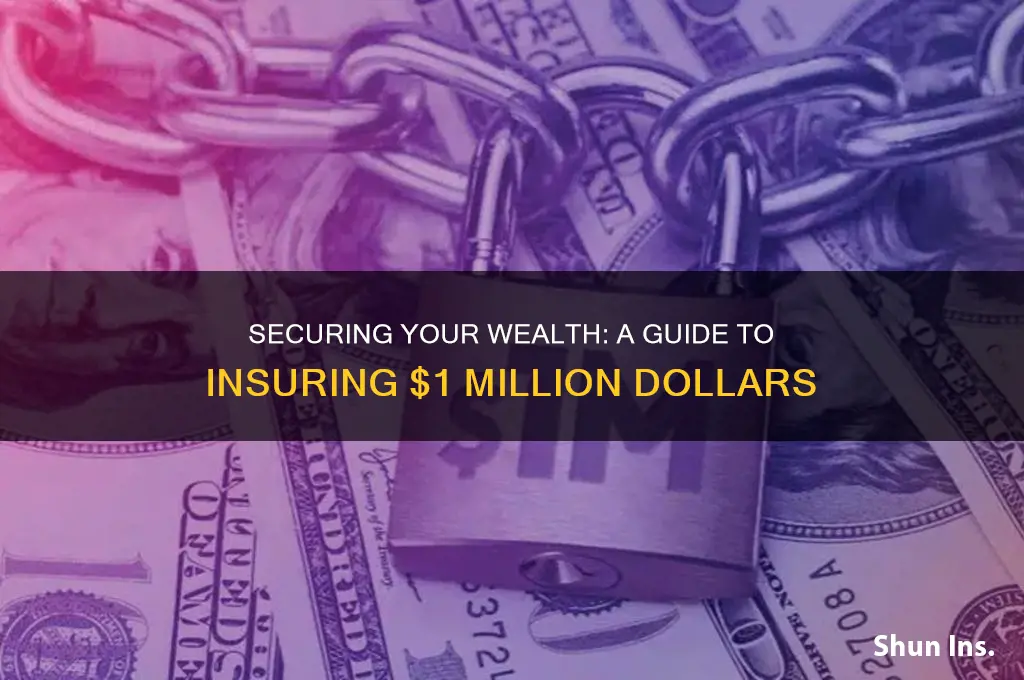 how to insure 1 million dollars