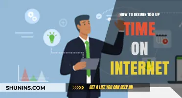 Ensuring Flawless Internet Connectivity: Strategies for Achieving 100% Uptime
