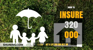 Securing Comprehensive Insurance Coverage for Your $320,000 Asset