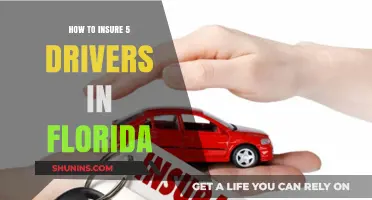 Insuring Multiple Drivers in Florida: What You Need to Know