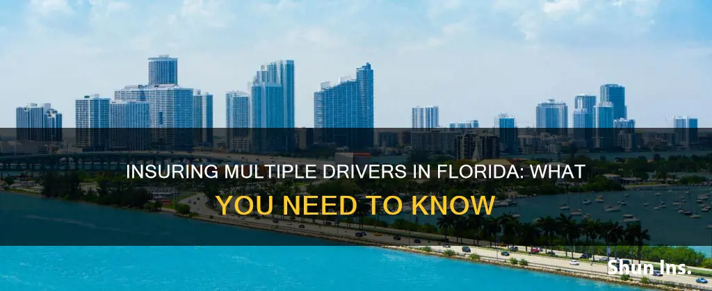 how to insure 5 drivers in Florida