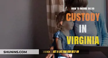 Securing Equal Parenting Time: A Guide to 50/50 Custody in Virginia
