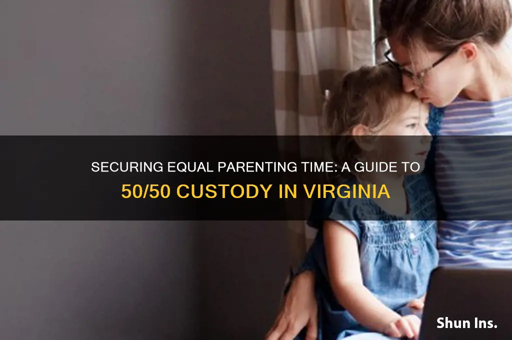 how to insure 50 50 custody in virginia