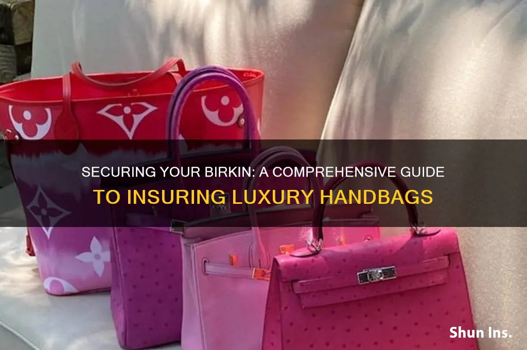 how to insure a birkin