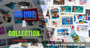 Protecting Your Treasures: A Guide to Insuring Your Valuable Collection