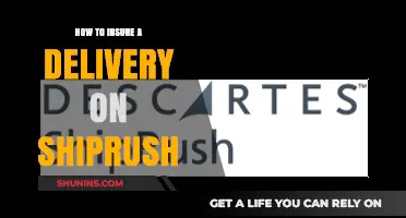 Secure Your ShipRush Deliveries: A Comprehensive Insurance Guide