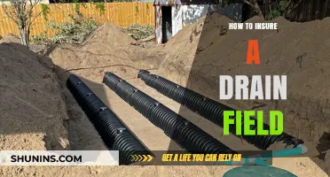 Protect Your Septic System: A Guide to Insuring Your Drain Field