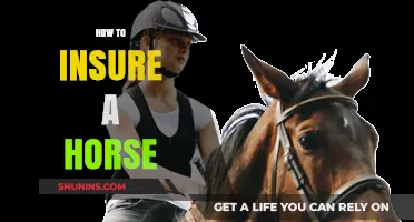 Essential Guide to Insuring Your Horse: Coverage, Costs, and Tips
