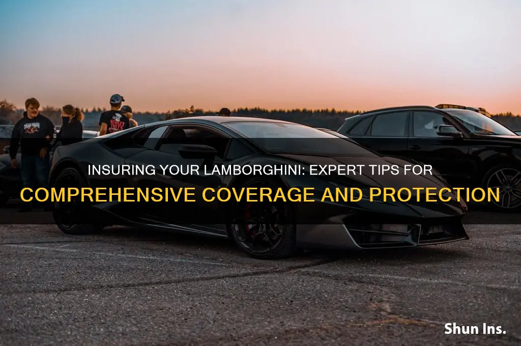 how to insure a lamborghini