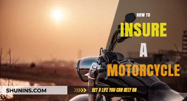 Ultimate Guide to Insuring Your Motorcycle: Tips and Coverage Options