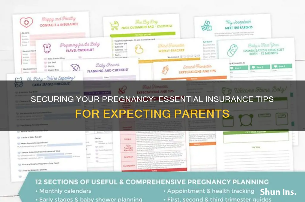 how to insure a pregnancy