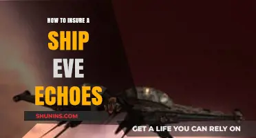 Securing Your Ship: A Comprehensive Guide to Eve Echoes Insurance