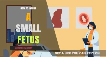 Protecting Your Tiny Miracle: A Guide to Insuring a Small Fetus