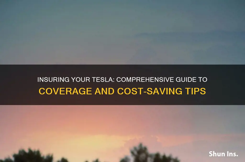 how to insure a tesla