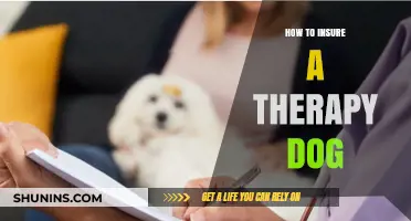 Securing Coverage: A Guide to Insuring Your Therapy Dog