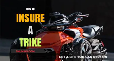 Ultimate Guide to Insuring Your Trike: Tips and Coverage Options