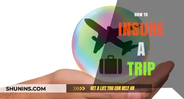 Essential Tips for Securing Comprehensive Travel Insurance for Your Trip