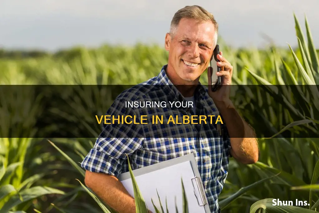 how to insure a vehicle in alberta