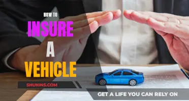 Insuring Your Vehicle: The Basics