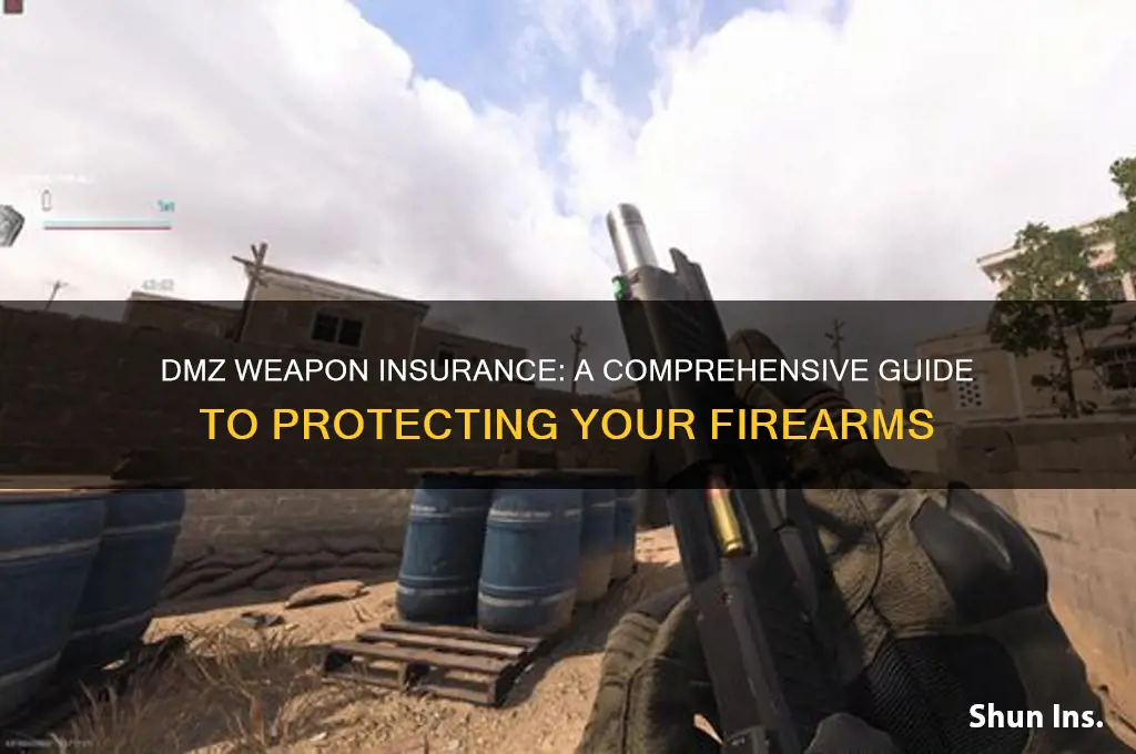 how to insure a weapon in dmz