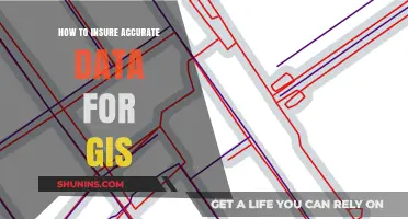 Ensuring Precision in GIS: Strategies for Accurate Data Management