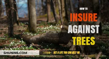 Protect Your Property: Comprehensive Guide to Insuring Against Tree Damage