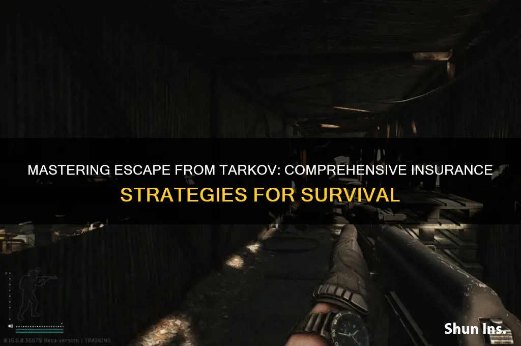 how to insure all escape from tarkov