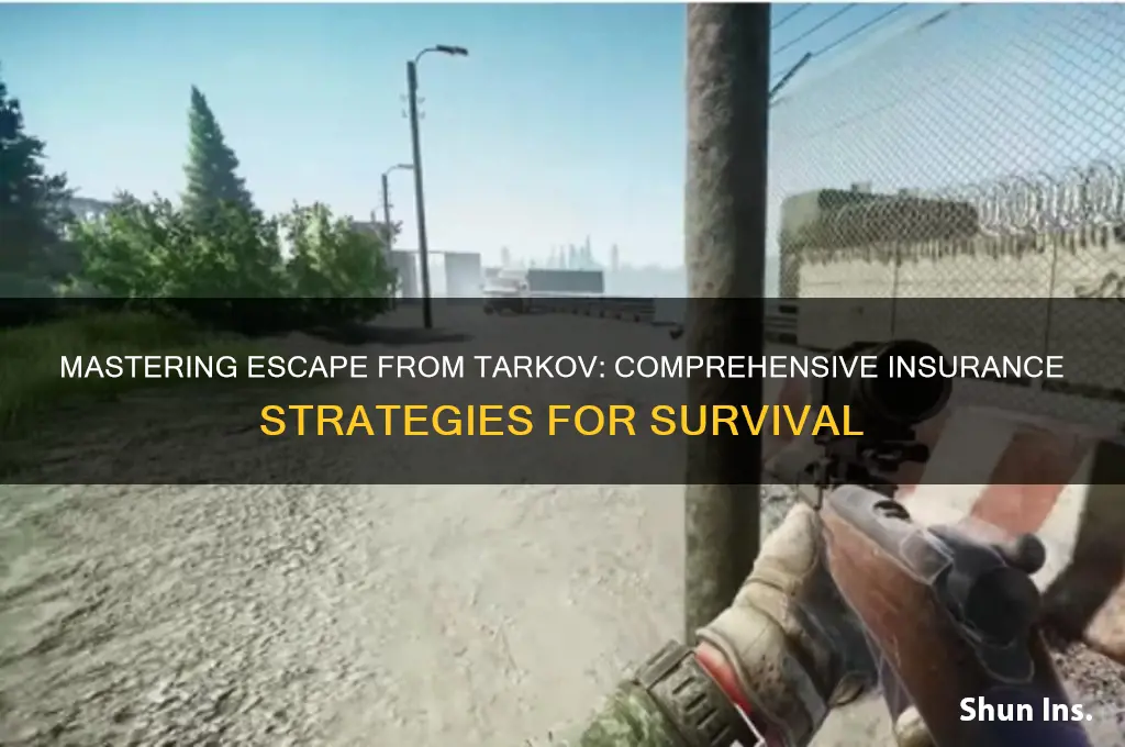 how to insure all tarkov